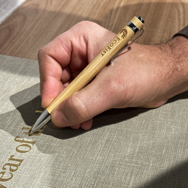 Bamboo Pen 1