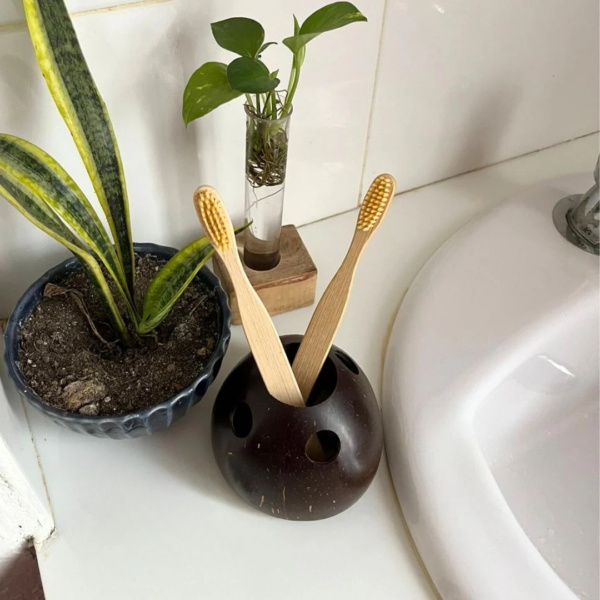 Toothbrush Holder 4